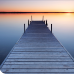 DIRECTOR_dock