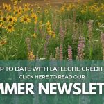 Summer Newsletter
