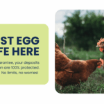 nest-egg